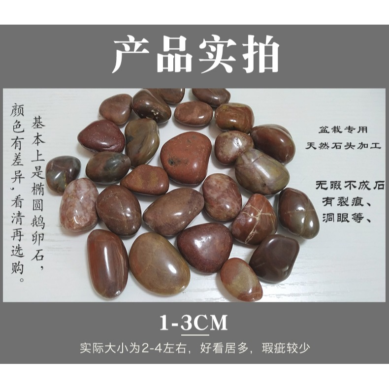 鵝卵石南京天然小石子魚缸造景花盆裝飾盆栽園藝彩石頭繪畫-細節圖9