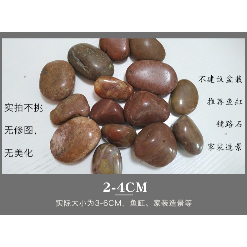 鵝卵石南京天然小石子魚缸造景花盆裝飾盆栽園藝彩石頭繪畫-細節圖10