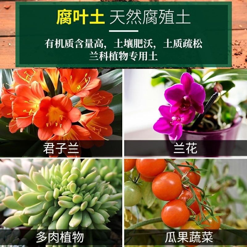 腐葉土有機透氣營養土養花種菜土壤通用型透氣腐葉種植土-細節圖3