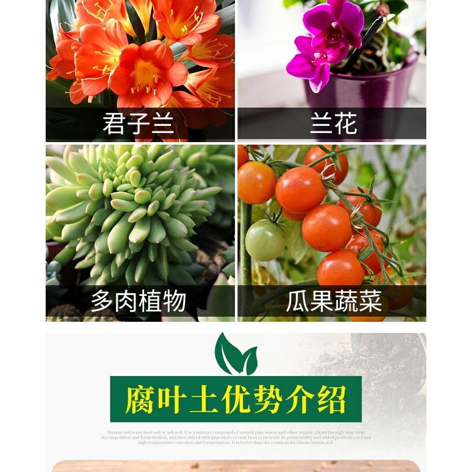 腐葉土有機透氣營養土養花種菜土壤通用型透氣腐葉種植土-細節圖9