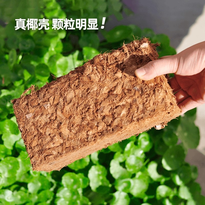 粗椰殼椰磚蘭花植料石斛專用土配土透氣土壤營養土養花通用粗椰糠-細節圖2