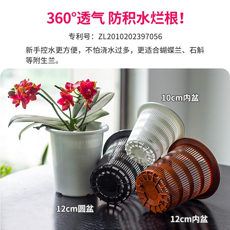 美蒔蝴蝶蘭盆專用控根花盆通風透氣石斛蘭蝴蝶蘭定製盆-細節圖3