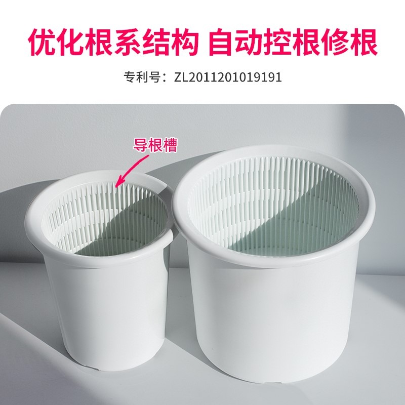 美蒔蝴蝶蘭盆專用控根花盆通風透氣石斛蘭蝴蝶蘭定製盆-細節圖4