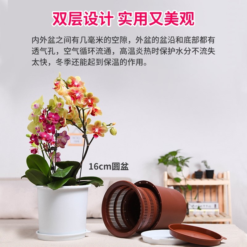 美蒔蝴蝶蘭盆專用控根花盆通風透氣石斛蘭蝴蝶蘭定製盆-細節圖5