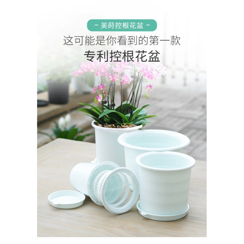 美蒔蝴蝶蘭盆專用控根花盆通風透氣石斛蘭蝴蝶蘭定製盆-細節圖8