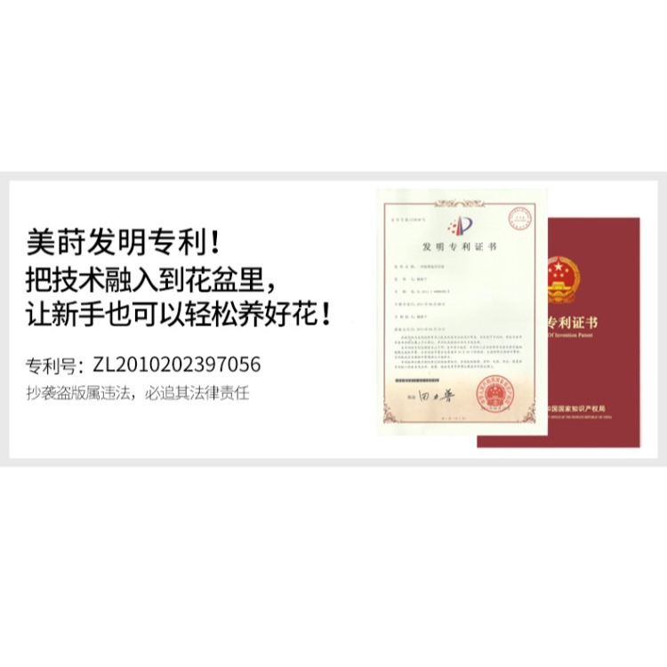 美蒔蝴蝶蘭盆專用控根花盆通風透氣石斛蘭蝴蝶蘭定製盆-細節圖9