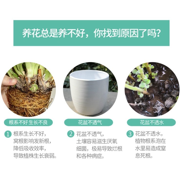 美蒔蝴蝶蘭盆專用控根花盆通風透氣石斛蘭蝴蝶蘭定製盆-細節圖10