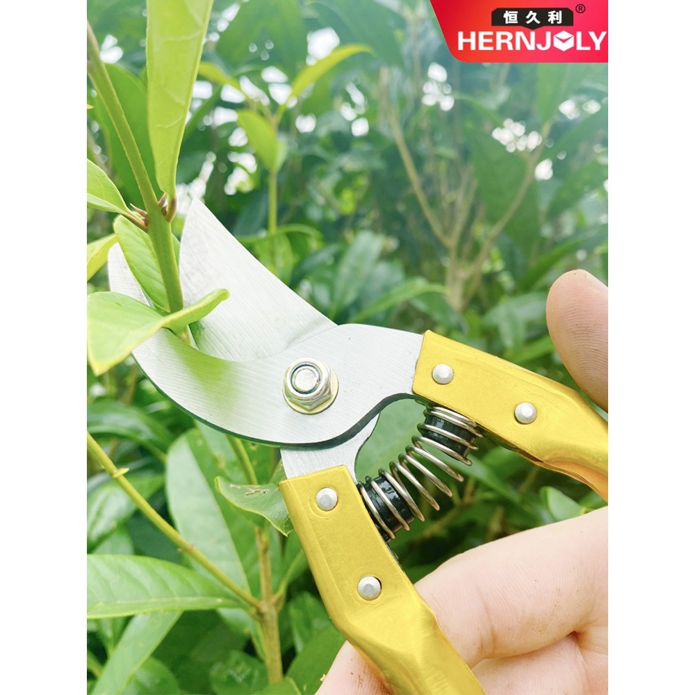 剪枝剪刀修剪果樹園藝花藝工具進口省力樹枝修枝剪花枝花卉花剪子-細節圖3