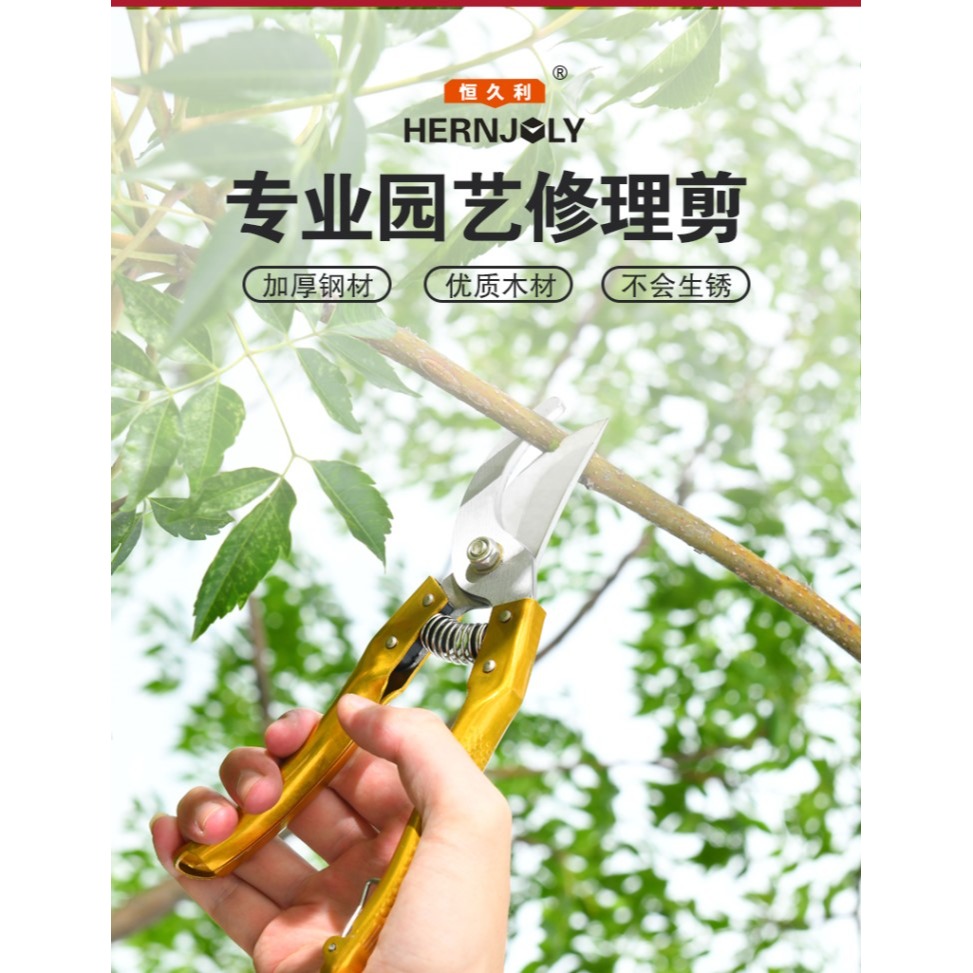 剪枝剪刀修剪果樹園藝花藝工具進口省力樹枝修枝剪花枝花卉花剪子-細節圖6