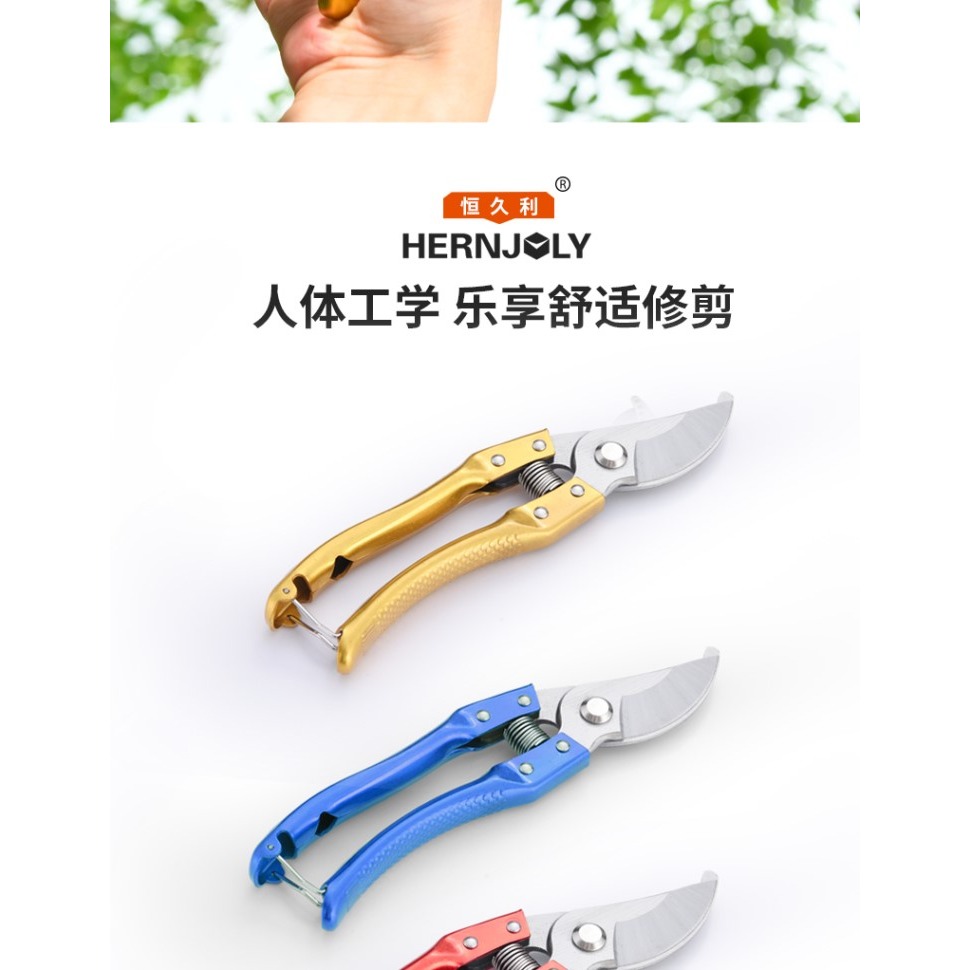 剪枝剪刀修剪果樹園藝花藝工具進口省力樹枝修枝剪花枝花卉花剪子-細節圖7