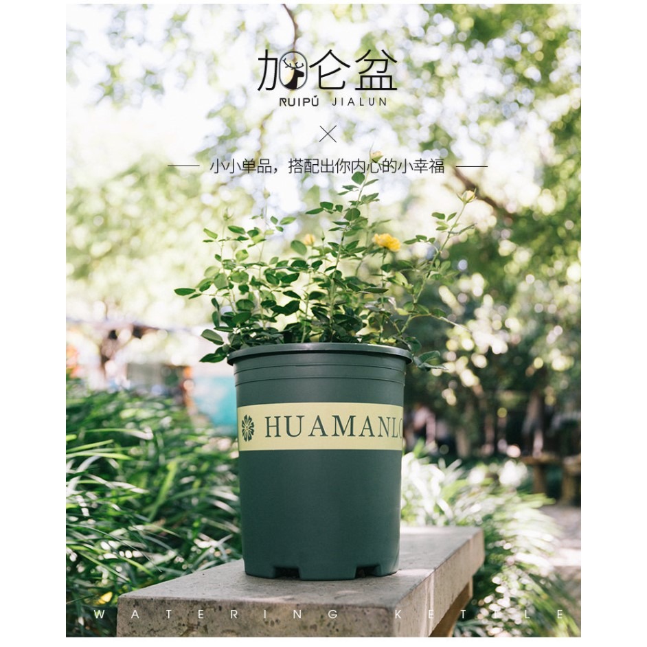 加厚塑料園藝二代加侖花盆家用大號多肉盆蘭花樹脂加侖盆特價清倉-細節圖6