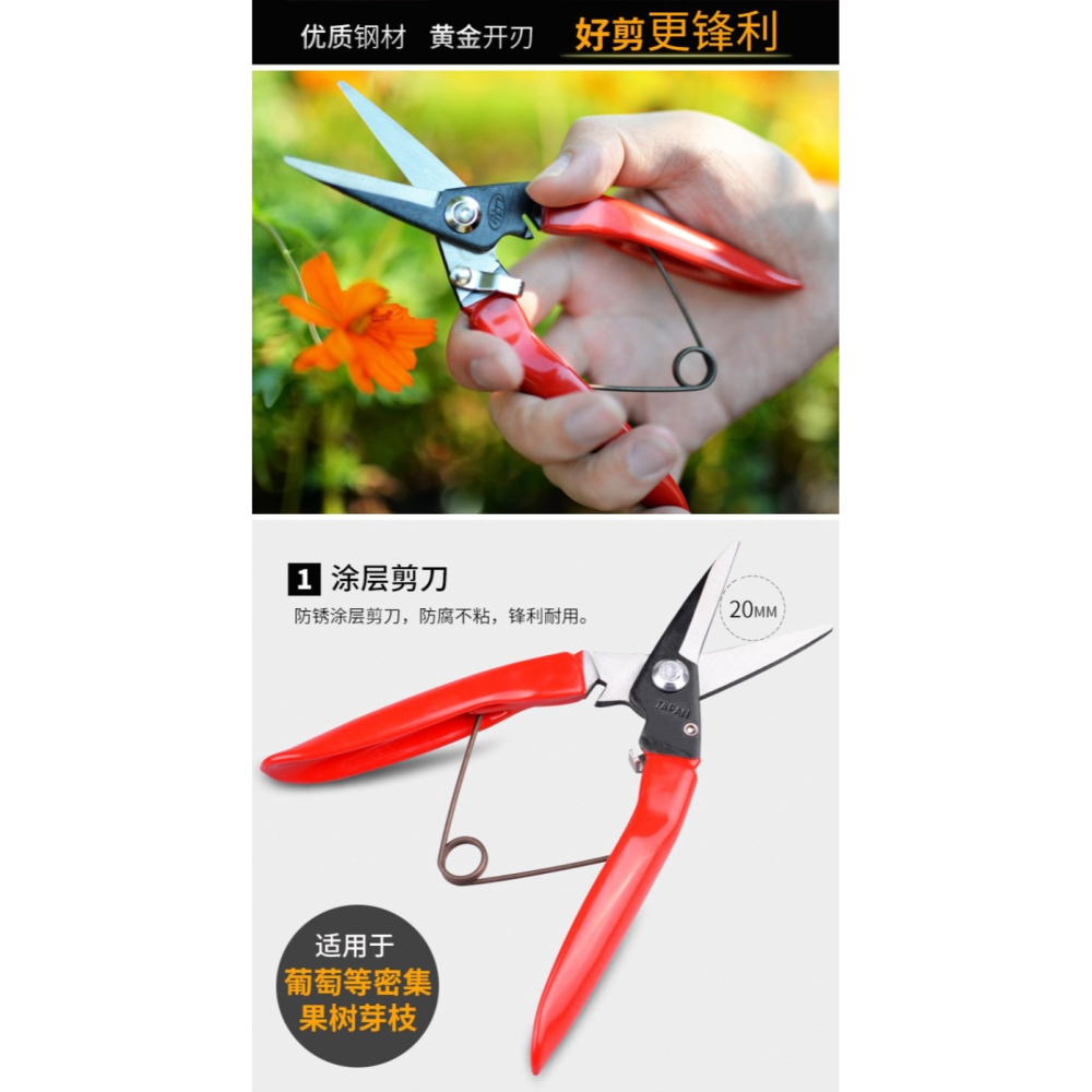 葡萄修枝剪刀不銹鋼採果剪果樹剪桔子摘果剪柑橘枝剪芽剪果園花剪-細節圖7