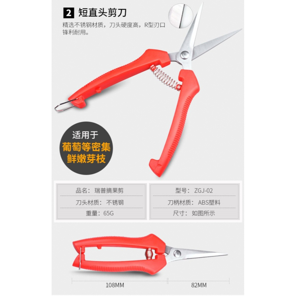 葡萄修枝剪刀不銹鋼採果剪果樹剪桔子摘果剪柑橘枝剪芽剪果園花剪-細節圖9
