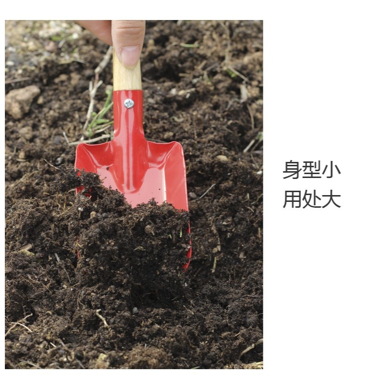兒童沙灘玩具家用種花趕海工具小鏟子套裝種菜養花挖土種植-細節圖10