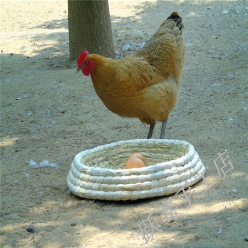 雞窩元寶鴿子窩草編鴿窩草窩  元寶雞 低價鴿子巢盆鴿用草窩-細節圖2