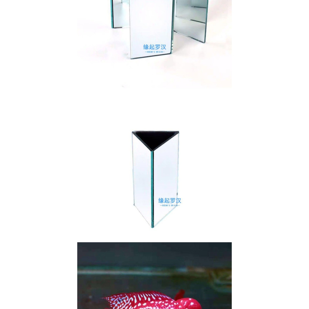 泰金玩具紅馬火氣水族箱馬騮雙面三角魚缸攻頭羅漢魚專用沙包鏡子-細節圖7