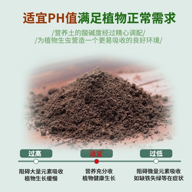花土通用型種花家用營養土多肉土壤養花種菜有機種植泥土綠蘿專用-細節圖4