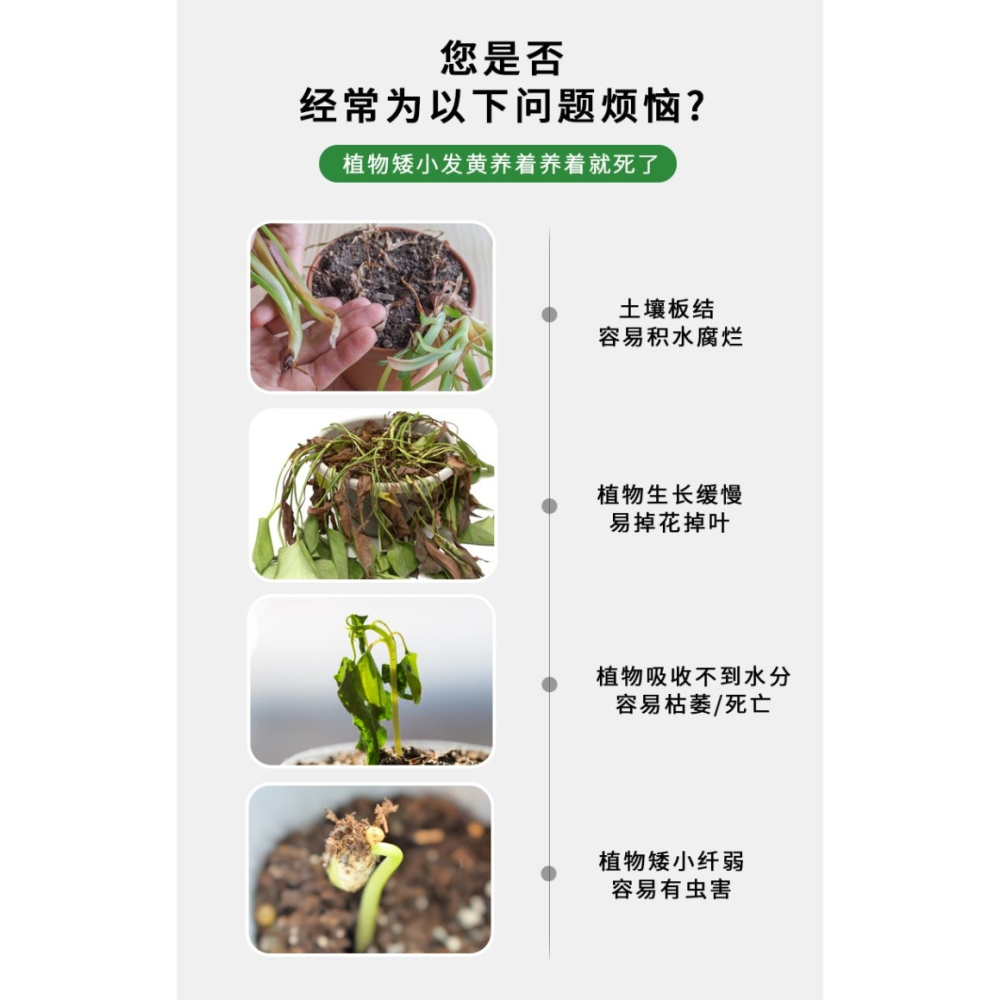 花土通用型種花家用營養土多肉土壤養花種菜有機種植泥土綠蘿專用-細節圖10