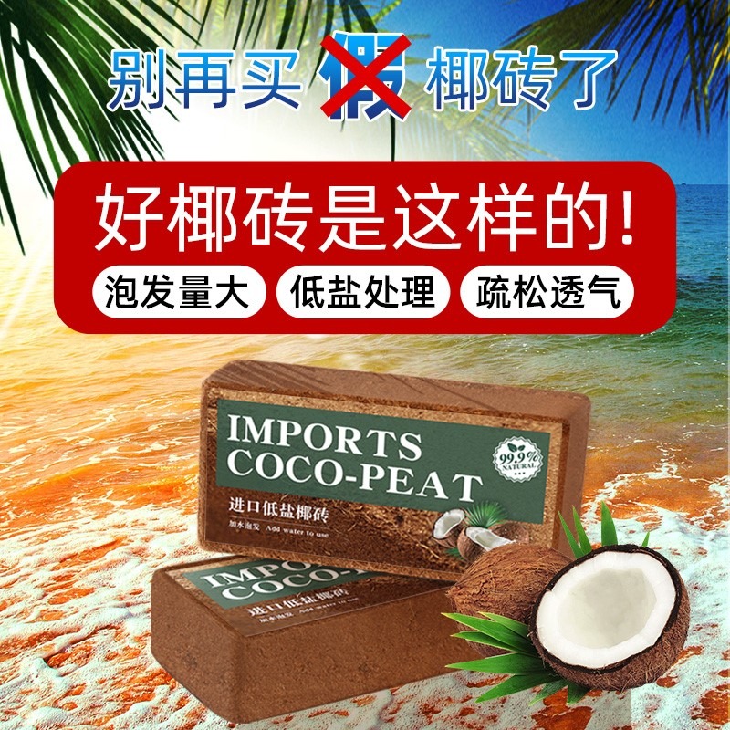 椰磚營養土養花專用清倉包郵特價通用型大塊椰土花土壤多肉椰糠磚-細節圖4