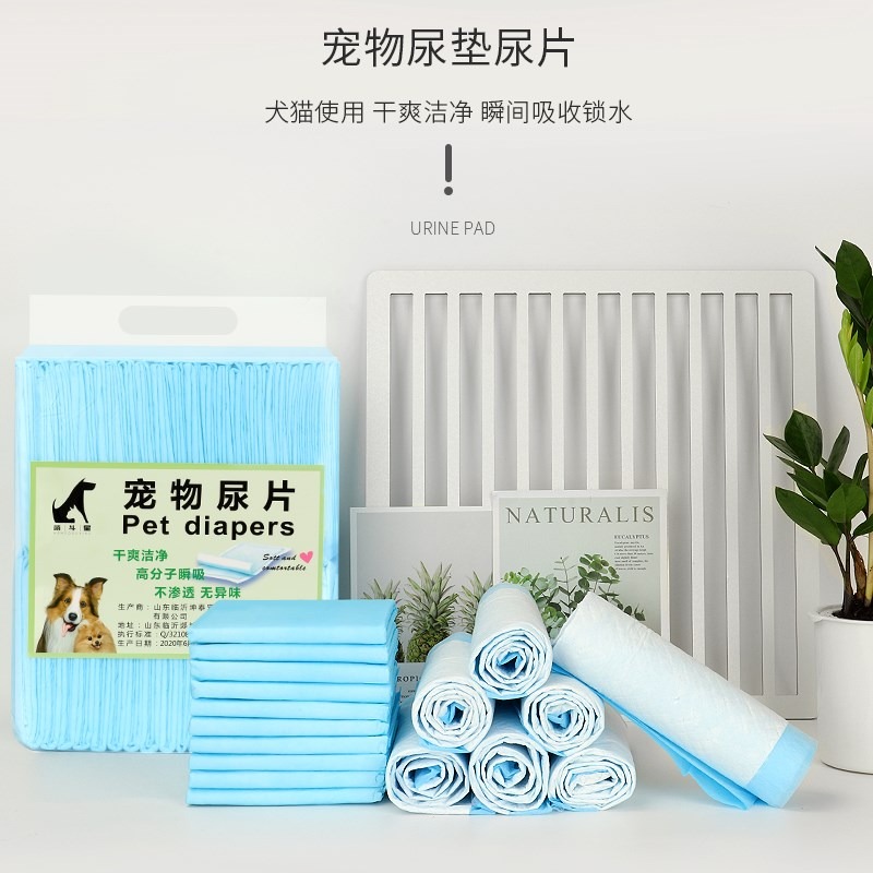 100片寵物尿墊小狗狗用品紙尿片兔子泰迪尿不濕狗墊子廁所隔尿墊-細節圖3