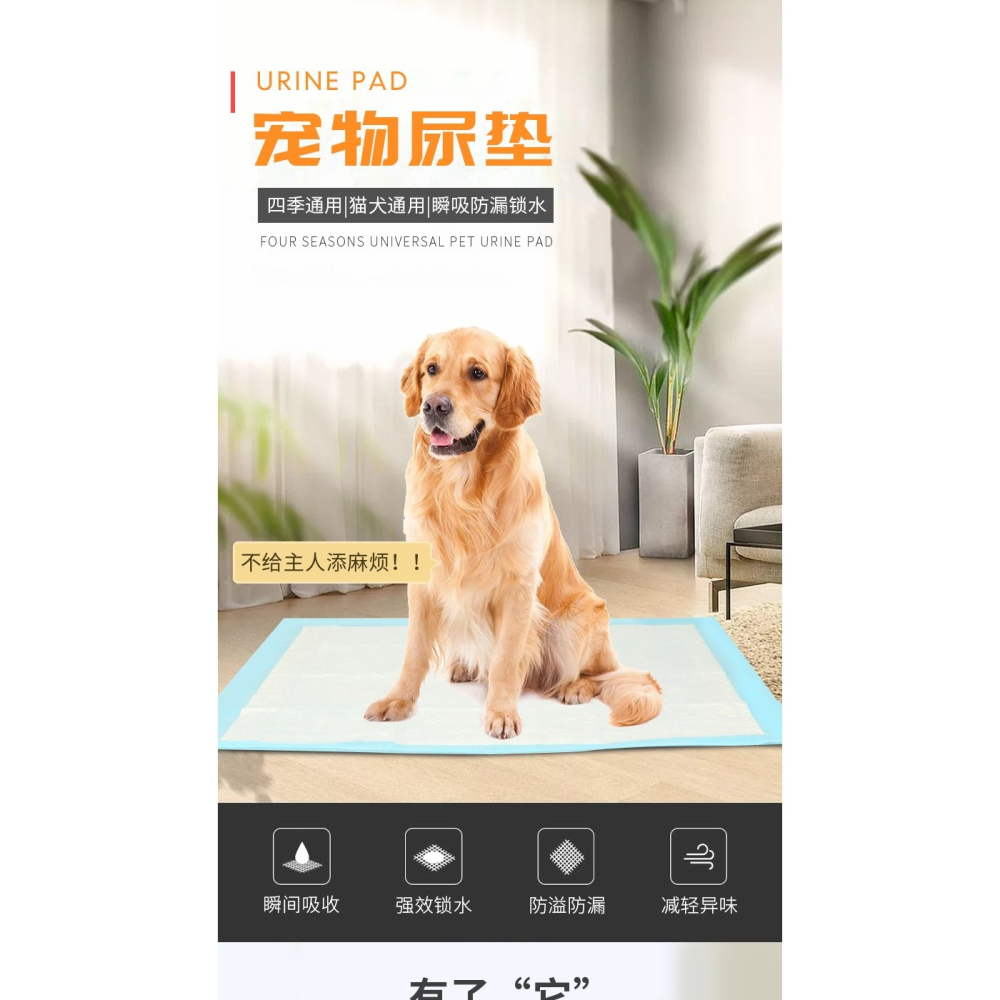 100片寵物尿墊小狗狗用品紙尿片兔子泰迪尿不濕狗墊子廁所隔尿墊-細節圖5
