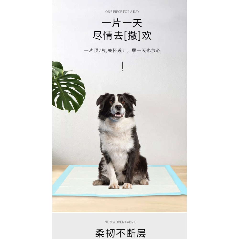 100片寵物尿墊小狗狗用品紙尿片兔子泰迪尿不濕狗墊子廁所隔尿墊-細節圖7