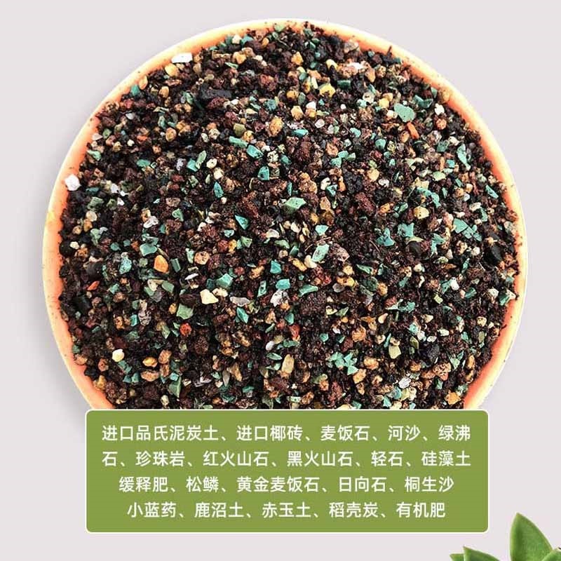 花土多肉土專用顆粒營養土大包透氣種植土鋪面石純顆粒包郵-細節圖3