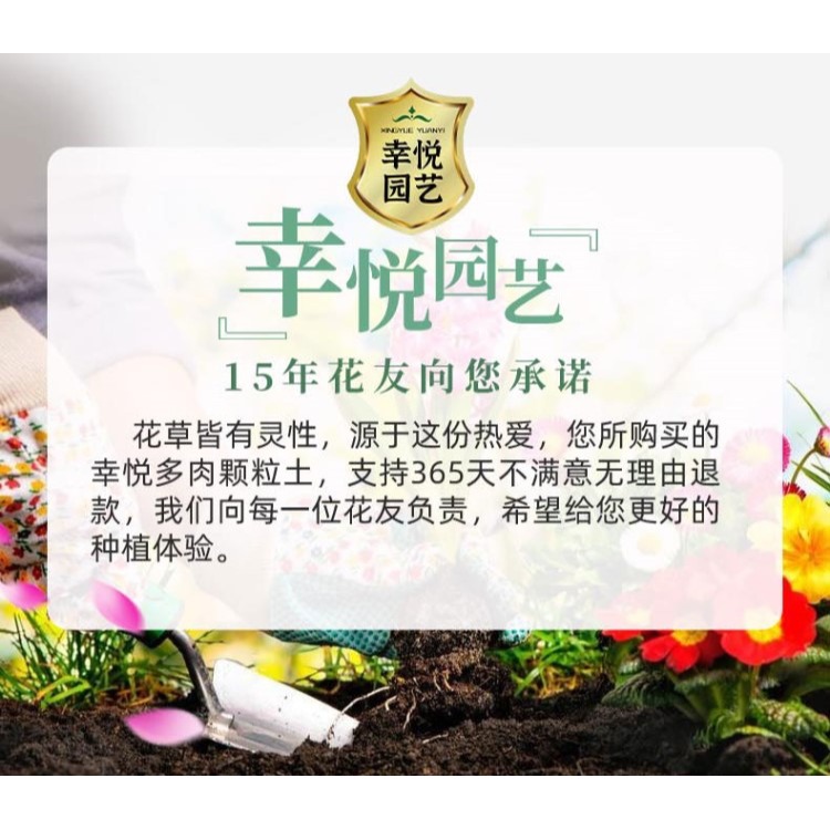 花土多肉土專用顆粒營養土大包透氣種植土鋪面石純顆粒包郵-細節圖6