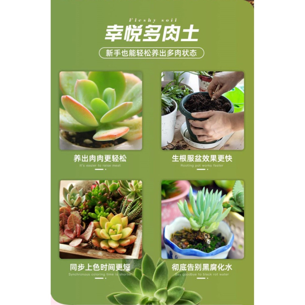 花土多肉土專用顆粒營養土大包透氣種植土鋪面石純顆粒包郵-細節圖9