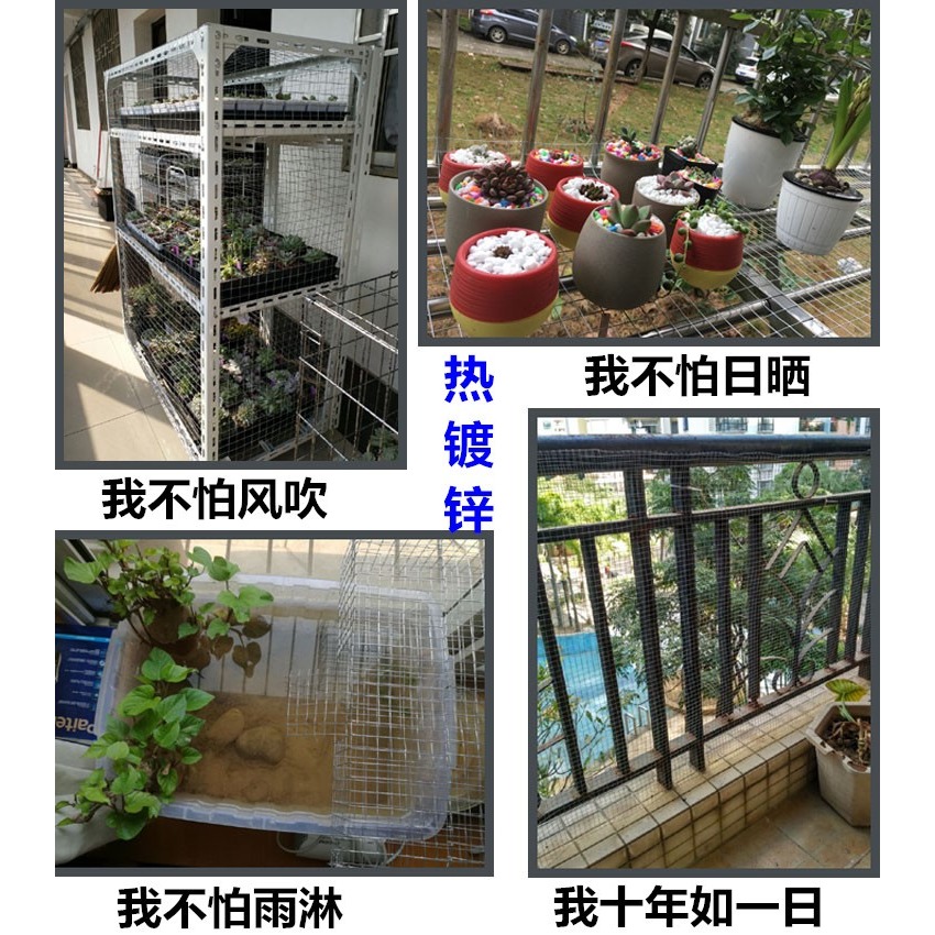 貓咪防護網紗窗鐵網鍍鋅鐵絲網圍欄防鼠網防護網鋼絲網小孔鐵網片-細節圖8