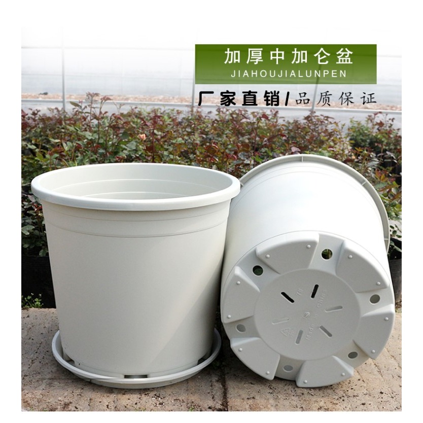 加厚加侖盆7加侖特大號花盆塑料米白色種樹綠植月季果樹花盆-細節圖7