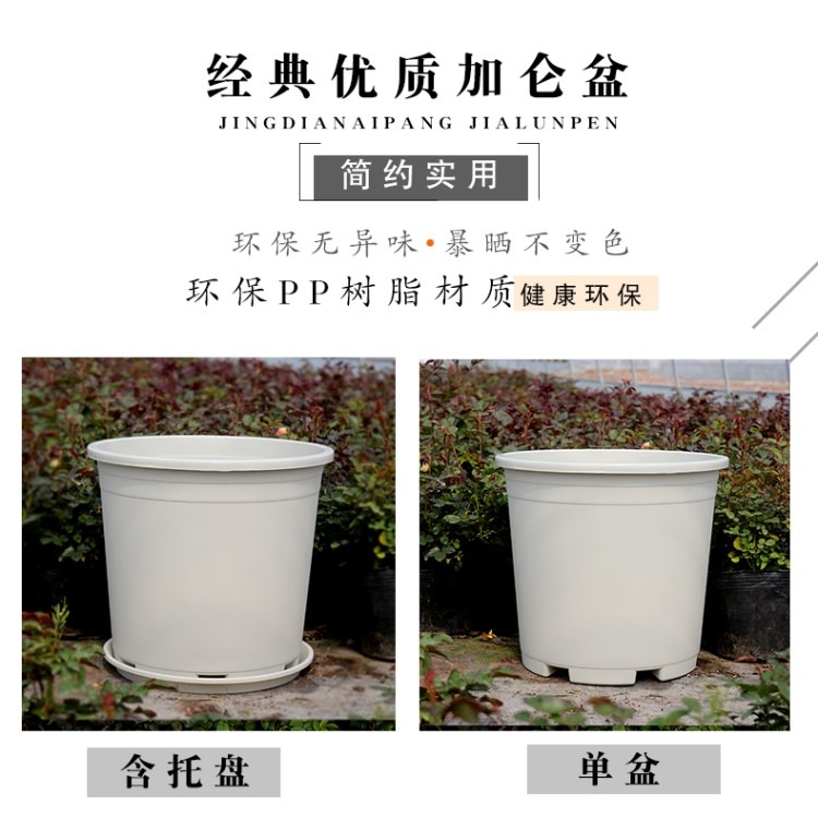 加厚加侖盆7加侖特大號花盆塑料米白色種樹綠植月季果樹花盆-細節圖8