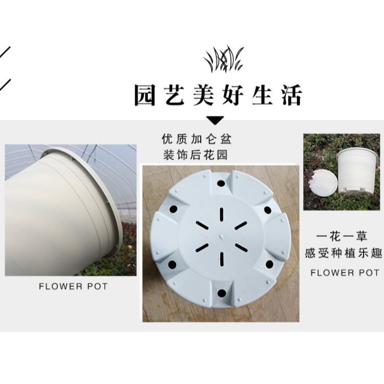 加厚加侖盆7加侖特大號花盆塑料米白色種樹綠植月季果樹花盆-細節圖9