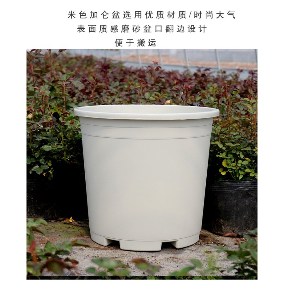 加厚加侖盆7加侖特大號花盆塑料米白色種樹綠植月季果樹花盆-細節圖10