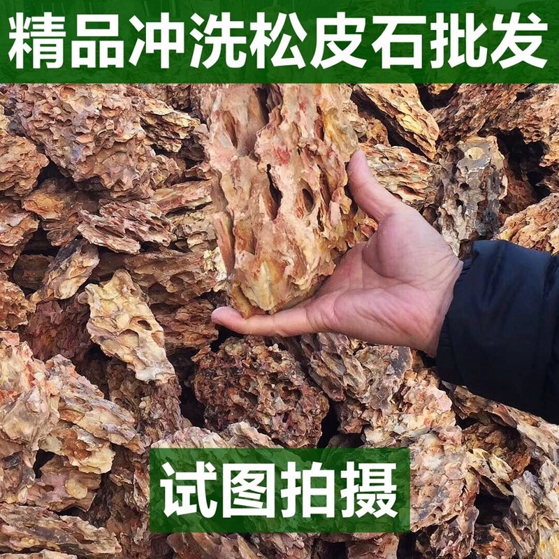 魚缸造景石假山天然大塊松皮石多孔酸洗青龍石草缸成品真石頭套餐-細節圖3