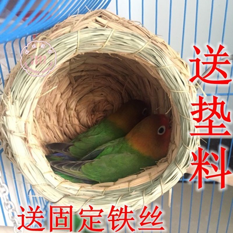 鸚鵡鳥窩草編懸掛式虎皮牡丹玄鳳文鳥珍珠草窩保暖繁殖箱用品鳥巢-細節圖3