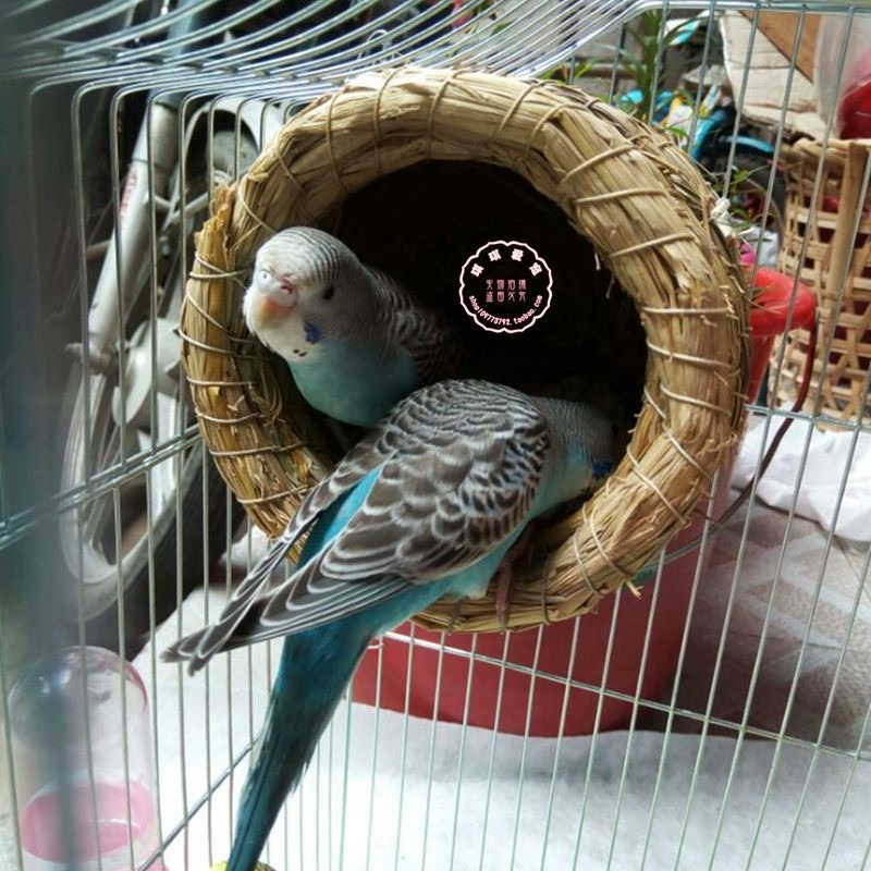 鸚鵡鳥窩草編懸掛式虎皮牡丹玄鳳文鳥珍珠草窩保暖繁殖箱用品鳥巢-細節圖4
