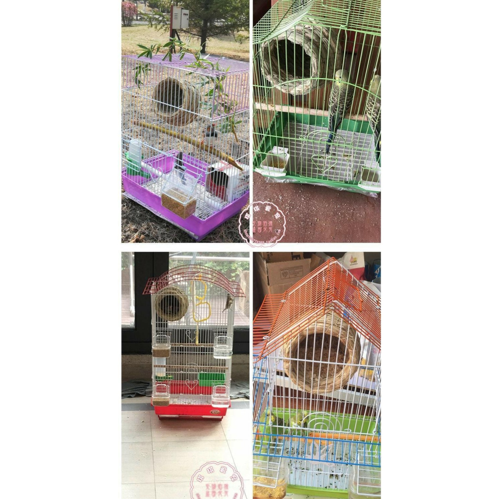 鸚鵡鳥窩草編懸掛式虎皮牡丹玄鳳文鳥珍珠草窩保暖繁殖箱用品鳥巢-細節圖8