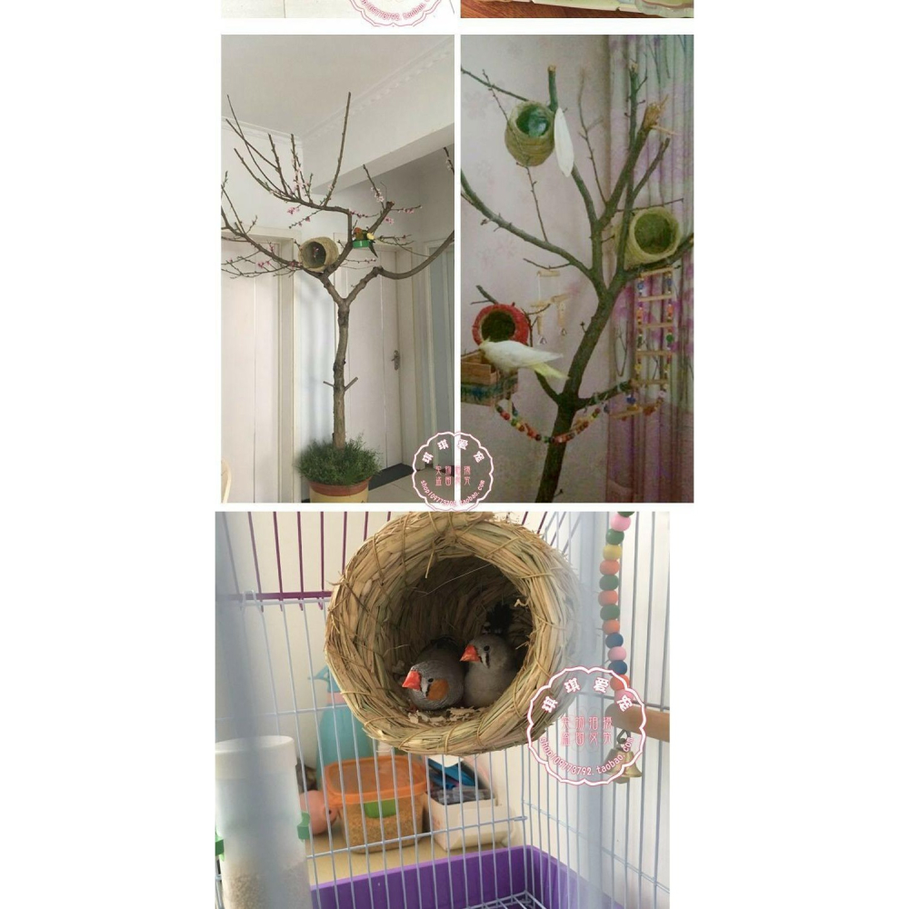 鸚鵡鳥窩草編懸掛式虎皮牡丹玄鳳文鳥珍珠草窩保暖繁殖箱用品鳥巢-細節圖9