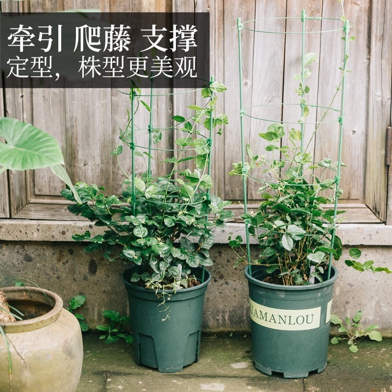 花架爬藤架花盆支架鐵線蓮爬藤架室內花盆支架月季支撐桿葡萄架子-細節圖2