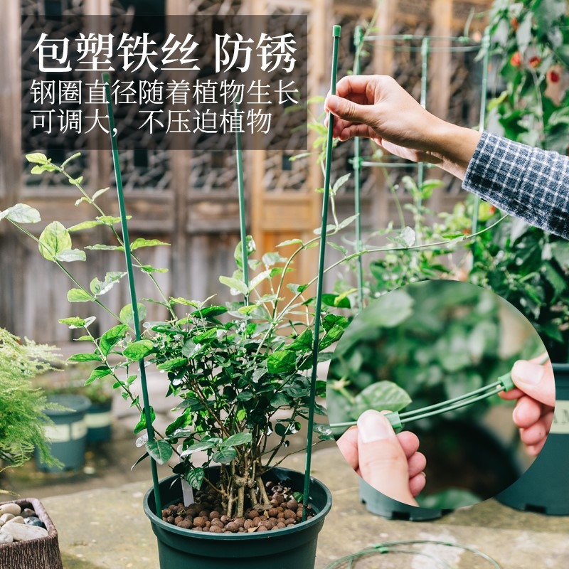 花架爬藤架花盆支架鐵線蓮爬藤架室內花盆支架月季支撐桿葡萄架子-細節圖4