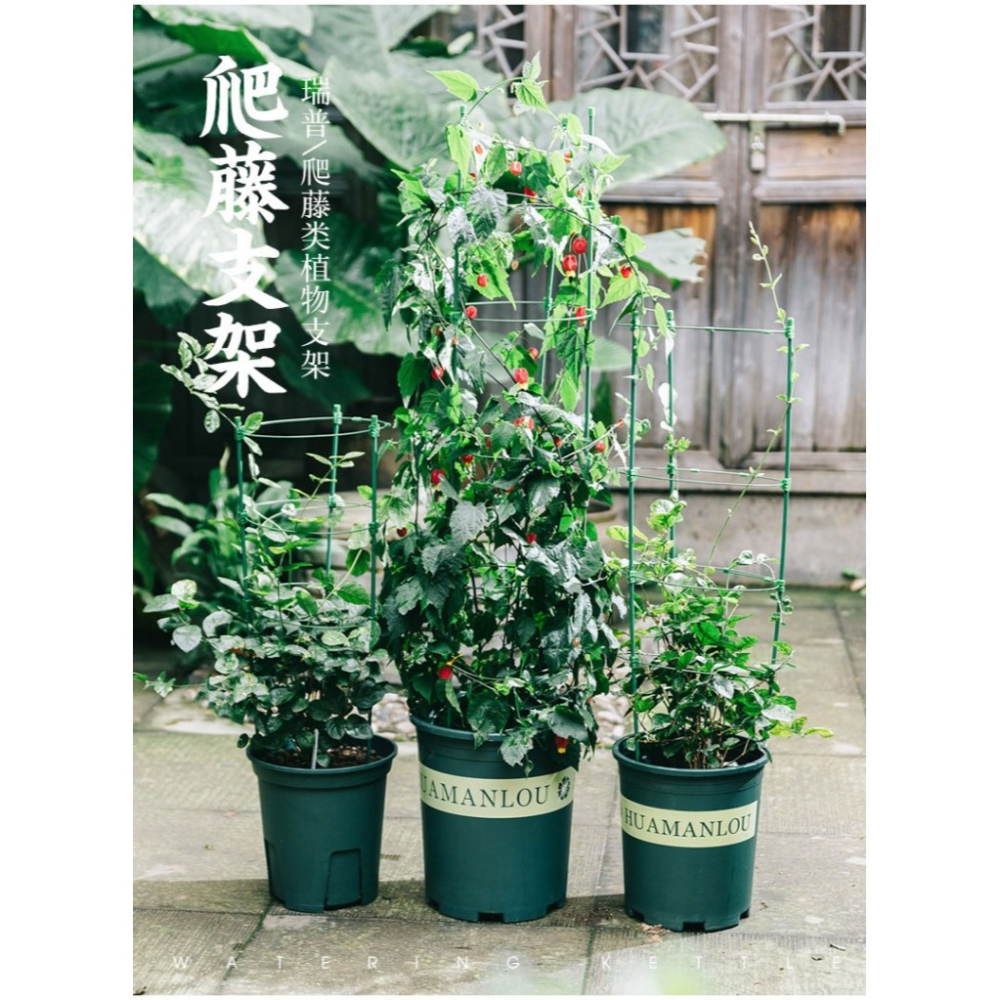 花架爬藤架花盆支架鐵線蓮爬藤架室內花盆支架月季支撐桿葡萄架子-細節圖6