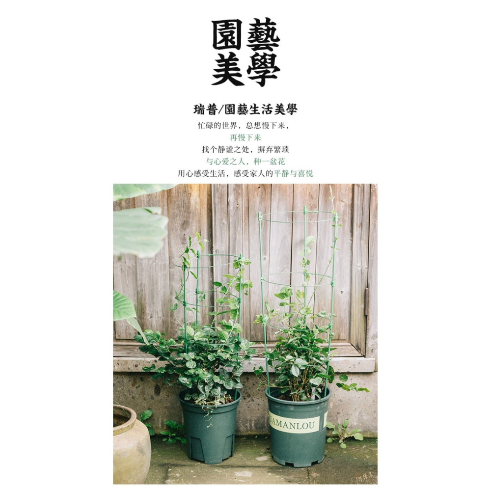 花架爬藤架花盆支架鐵線蓮爬藤架室內花盆支架月季支撐桿葡萄架子-細節圖7