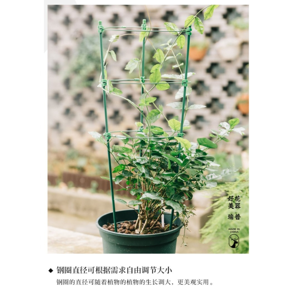 花架爬藤架花盆支架鐵線蓮爬藤架室內花盆支架月季支撐桿葡萄架子-細節圖9