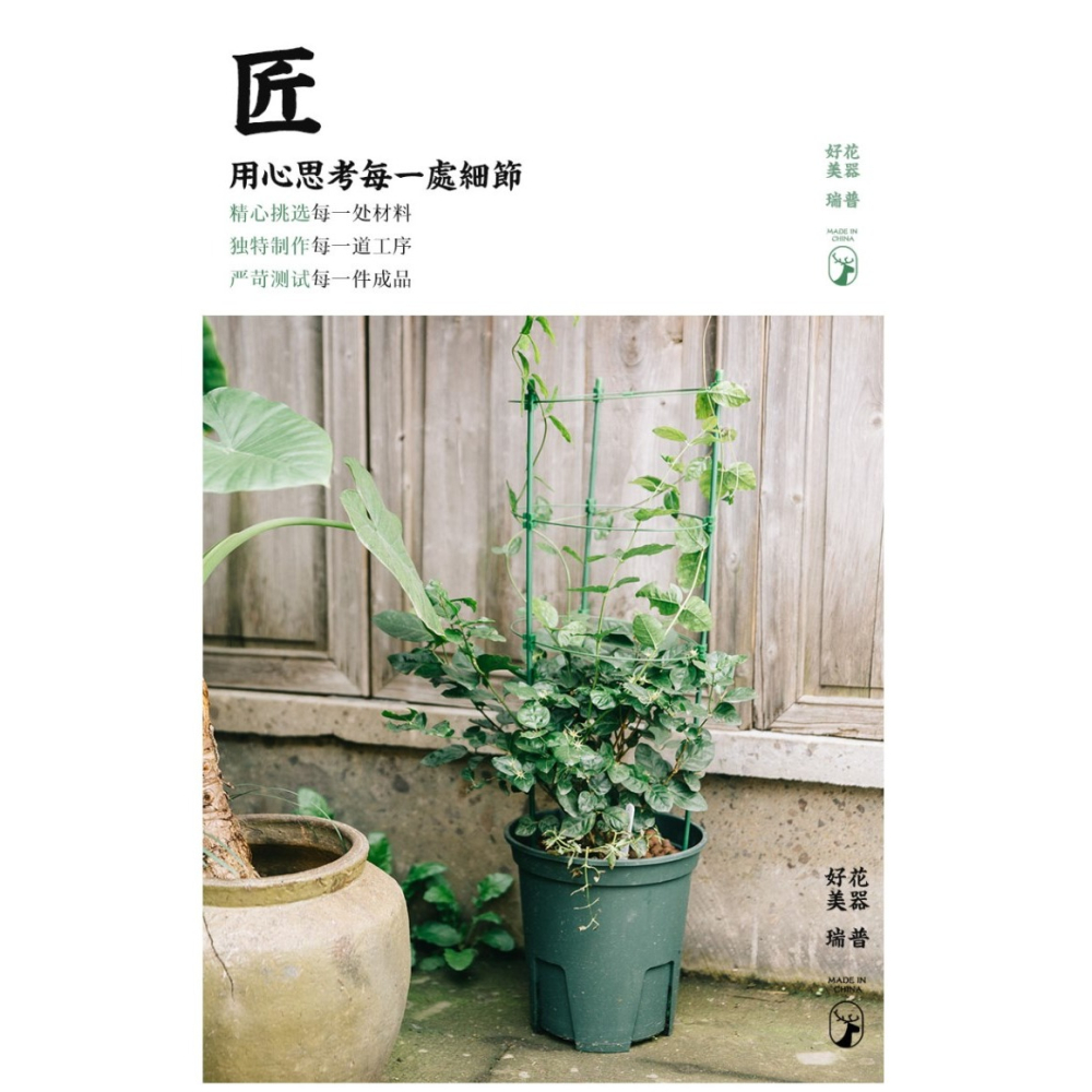 花架爬藤架花盆支架鐵線蓮爬藤架室內花盆支架月季支撐桿葡萄架子-細節圖10