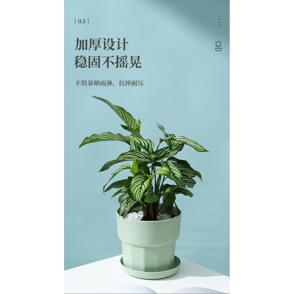 塑料樹脂北歐簡約綠蘿多肉控根小加侖花盆清倉廠家直銷2021新款大-細節圖9
