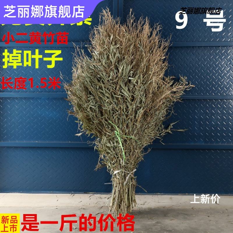 竹枝子掃把竹苗竹葉子竹枝竹子竹條掃把頭竹竹子頭條裝飾擺件手工-細節圖2
