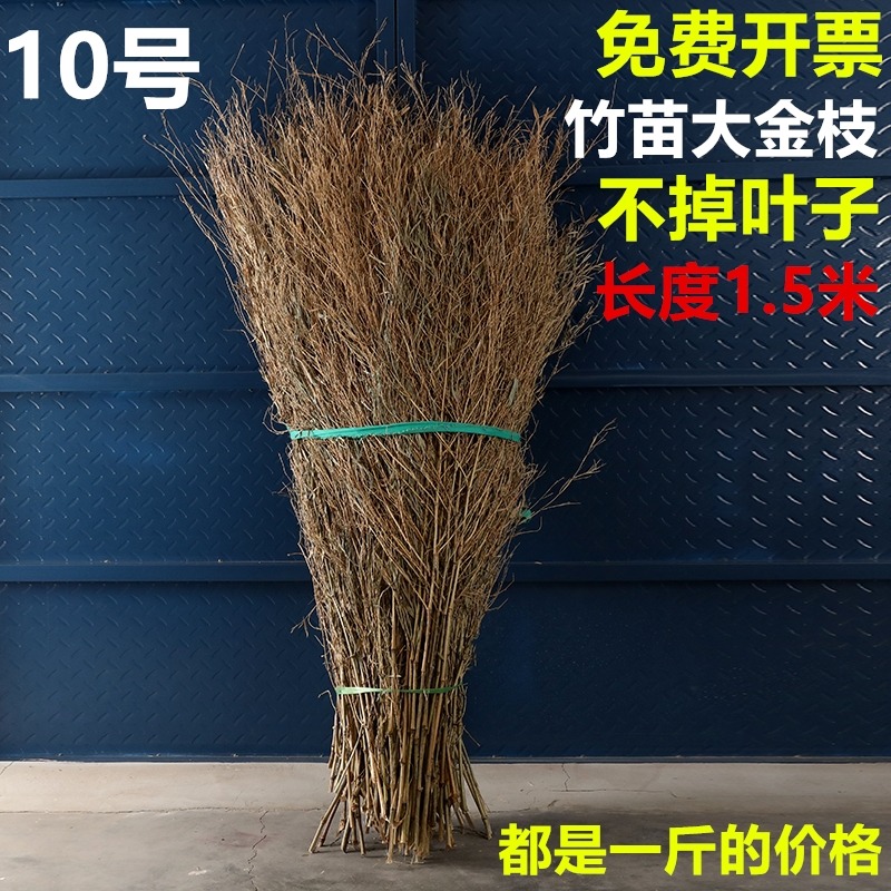 竹枝子掃把竹苗竹葉子竹枝竹子竹條掃把頭竹竹子頭條裝飾擺件手工-細節圖5