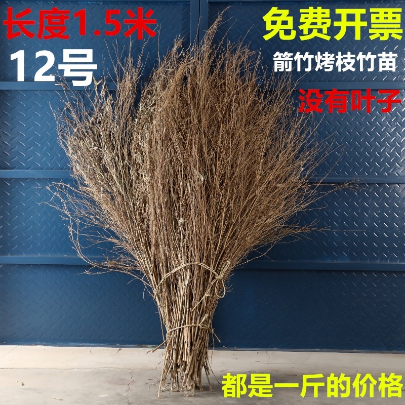 竹枝子掃把竹苗竹葉子竹枝竹子竹條掃把頭竹竹子頭條裝飾擺件手工-細節圖6