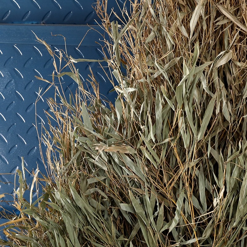 竹枝子掃把竹苗竹葉子竹枝竹子竹條掃把頭竹竹子頭條裝飾擺件手工-細節圖8
